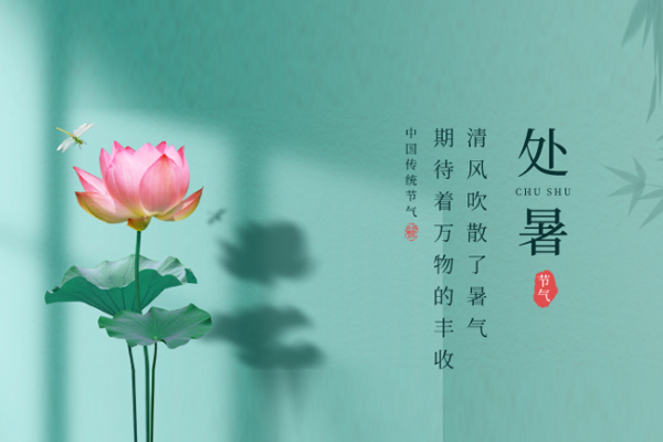 上宝木业 | 处暑,最美人间处暑秋