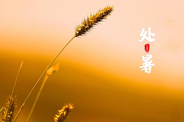上宝木业 | 清风解暑意,万物入清秋