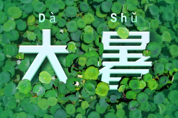 上宝木业 | 暑意浓烈,盛夏已至