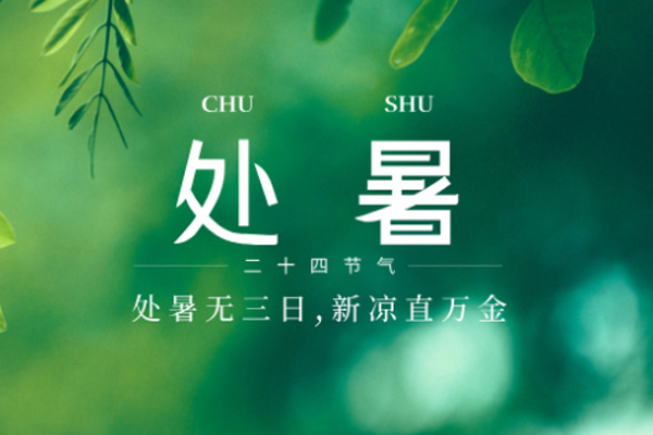 上宝木业 | 未觉三夏尽,时序已新秋