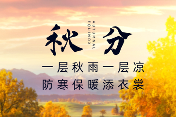 上宝木业 | 云淡风清扬,秋色可分长