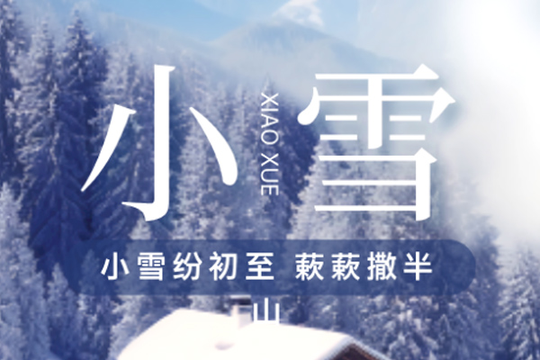 上宝木业 | 雨雪其霏 携手同归